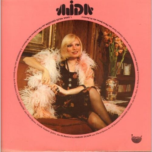 Ajda Pekkan - Sana Neler Edeceğim (1975) Full Albüm İndir Ajda Pekkan - Sana Neler Edeceğim (1975) Full Albüm İndir