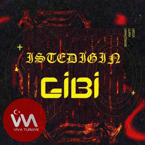 Berkay Duman , Groza , Lil Bra - İstediğin Gibi (2025) mp3 İndir 7 file 6931