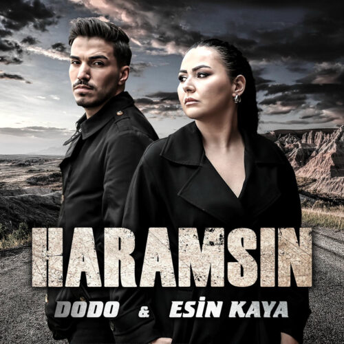 Dodo - Seçme Eserleri (En İyileri) (2025) Full Albüm İndir Dodo - Seçme Eserleri (En İyileri) (2025) Full Albüm İndir
