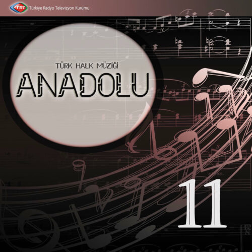 Çeşitli Sanatçılar - Anadolu-11 (2010) Full Albüm İndir