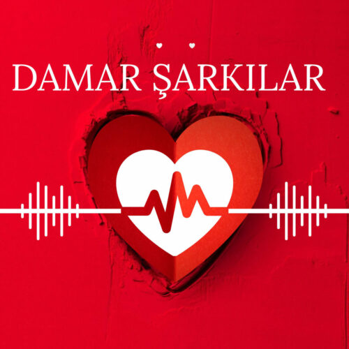 Çeşitli Sanatçılar Yeni Damar Şarkılar Full Albüm İndir Çeşitli Sanatçılar Yeni Damar Şarkılar Full Albüm İndir