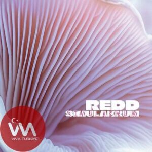 Redd – Simulakrum (2025) Full Albüm İndir