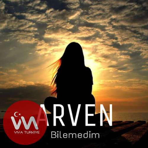 Arven Kaya – Bilemedim (2025) Mp3 İndir 3 arven kaya bilemedim