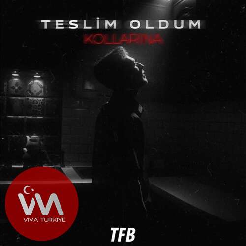 Yıldırım Elmas – Teslim Oldum Kollarına (2025) Mp3 İndir Yıldırım Elmas – Teslim Oldum Kollarına (2025) Mp3 İndir