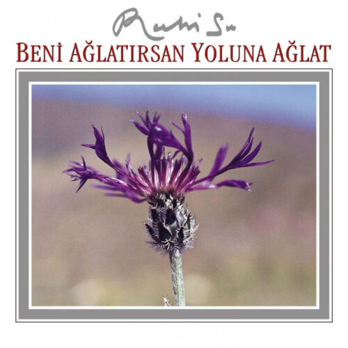 Ruhi Su - Beni Ağlatırsan Yoluna Ağlat (2003) Full Albüm İndir 7 Ruhi Su - Beni Ağlatırsan Yoluna Ağlat (2003) Full Albüm İndir