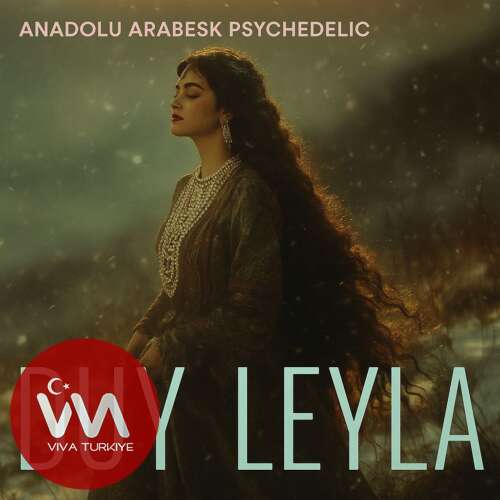 Anadolu Arabesk Psychedelic Yeni Duy Leyla Şarkısını Mp3 İndir