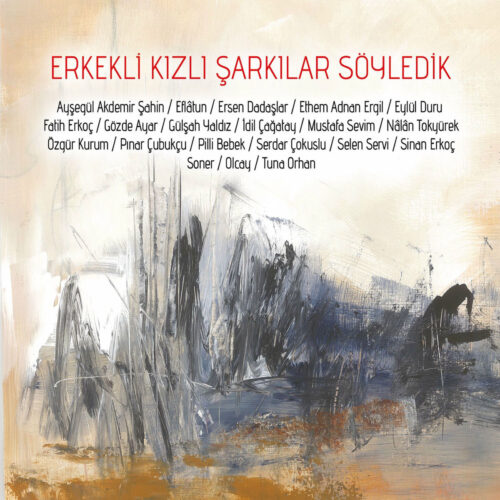 Çeşitli Sanatçılar - Erkekli Kızlı Şarkılar Söyledik (2017) Full Albüm İndir Çeşitli Sanatçılar - Erkekli Kızlı Şarkılar Söyledik (2017) Full Albüm İndir