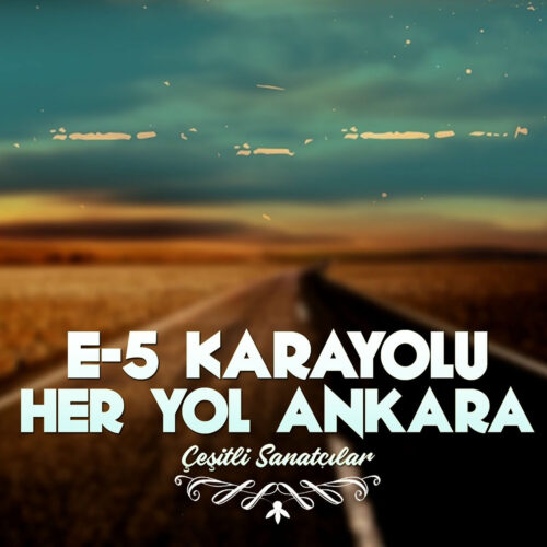 Çeşitli Sanatçılar Yeni E-5 Karayolu Her Yol Ankara Full Albüm İndir