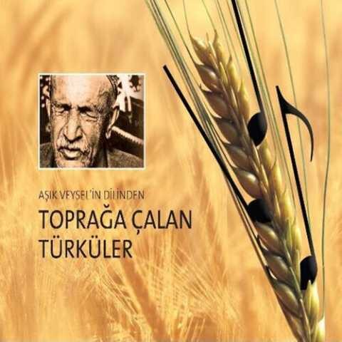 Aşık Veysel - Uzun İnce Bir Yoldayım (2016) Full Albüm İndir Aşık Veysel - Uzun İnce Bir Yoldayım (2016) Full Albüm İndir