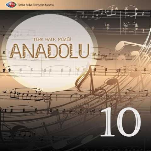 Çeşitli Sanatçılar - Anadolu 10 (2010) Full Albüm İndir