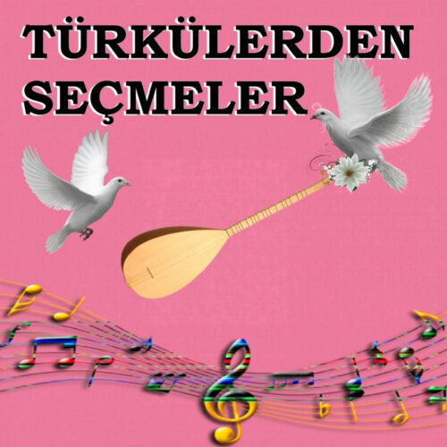 Çeşitli Sanatçılar - Türkülerden Seçmeler (2019) Full Albüm İndir