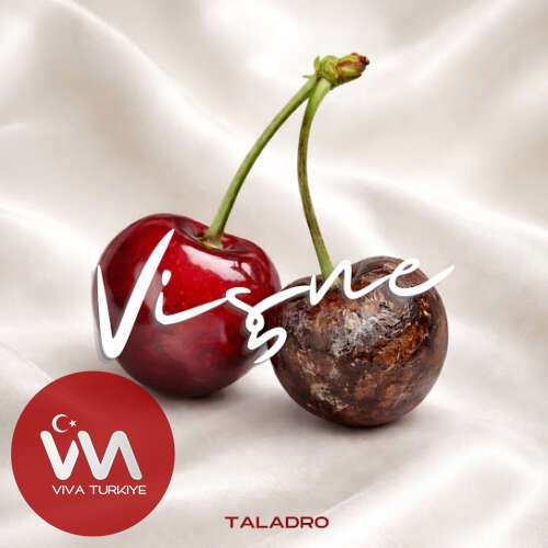 Taladro Yeni Vişne Şarkısını Mp3 İndir Taladro Yeni Vişne Şarkısını Mp3 İndir