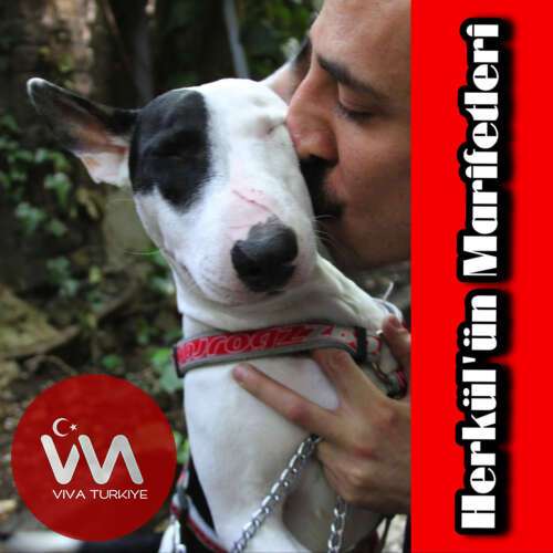 Onurr – Heybet (Onurr Demo) (2026) Mp3 İndir Onurr – Heybet (Onurr Demo) (2026) Mp3 İndir