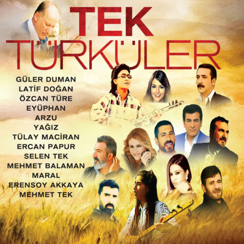 Çeşitli Sanatçılar Yeni Tek Türküler Full Albüm İndir Çeşitli Sanatçılar Yeni Tek Türküler Full Albüm İndir