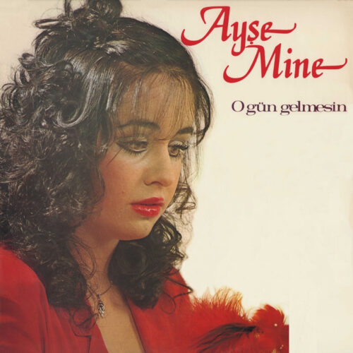 Ayşe Mine Yeni O Gün Gelmesin Full Albüm İndir Ayşe Mine Yeni O Gün Gelmesin Full Albüm İndir