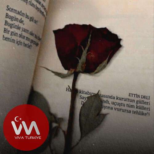 Fro , Jako - ETTİN DELİ (2026) mp3 İndir Fro , Jako - ETTİN DELİ (2026) mp3 İndir