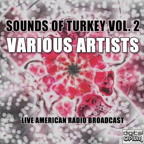Çeşitli Sanatçılar - Türkülerle Türkiye, Vol. 2 (Erzincan) (2001) Full Albüm İndir Çeşitli Sanatçılar - Türkülerle Türkiye, Vol. 2 (Erzincan) (2001) Full Albüm İndir