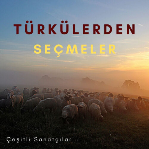 Çeşitli Sanatçılar Yeni Seçme Türküler Full Albüm İndir