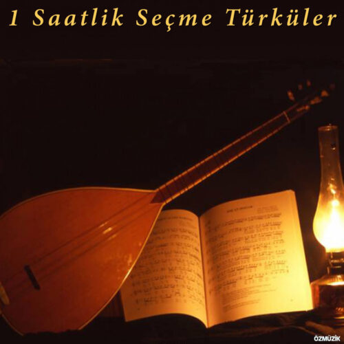 Çeşitli Sanatçılar Yeni 1 Saatlik Seçme Türküler Full Albüm İndir