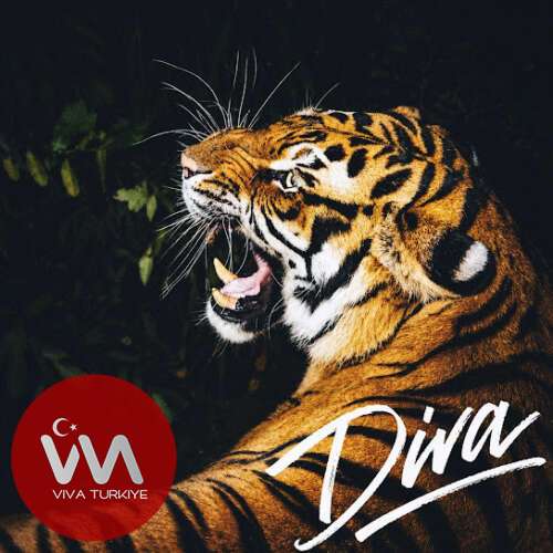 Burak Bulut - Diva (2026) mp3 İndir Burak Bulut - Diva (2026) mp3 İndir