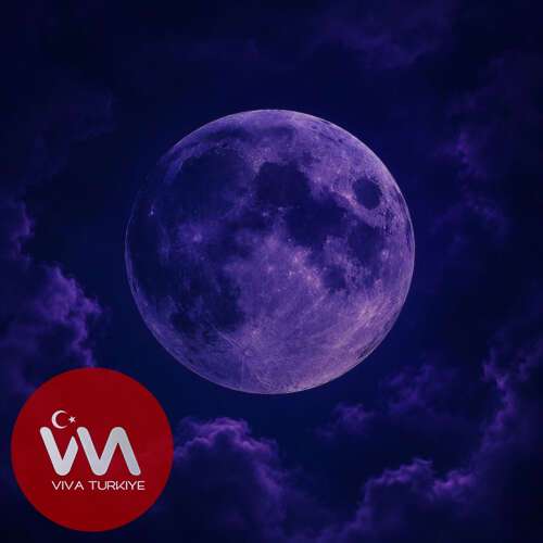 Kars Kleijn – En Azından Bu Gece Değil (2026) Mp3 İndir Kars Kleijn – En Azından Bu Gece Değil (2026) Mp3 İndir