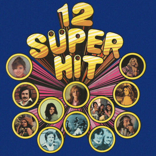 Çeşitli Sanatçılar - Altın Mikrofon 1966 (Türk Pop Müziği Antolojisi) (1966) Full Albüm İndir Çeşitli Sanatçılar - 12 Süper Hit (1976) Full Albüm İndir