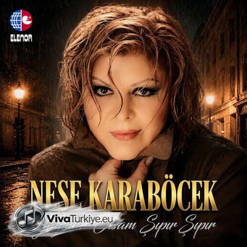 Neşe Karaböcek Yeni Yağmur Olsam Şıpır Şıpır Şarkısını Mp3 İndir Neşe Karaböcek Yeni Yağmur Olsam Şıpır Şıpır Şarkısını Mp3 İndir
