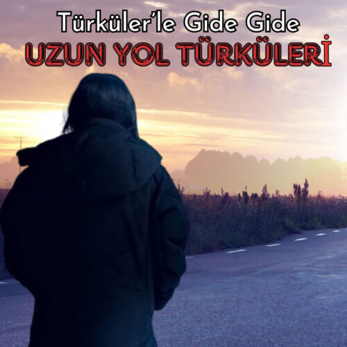 Çeşitli Sanatçılar Yeni Türküler'le Gide Gide / Uzun Yol Türküleri Full Albüm İndir