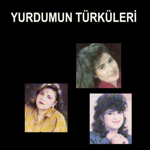 Çeşitli Sanatçılar Yeni Yurdumun Türküleri Full Albüm İndir