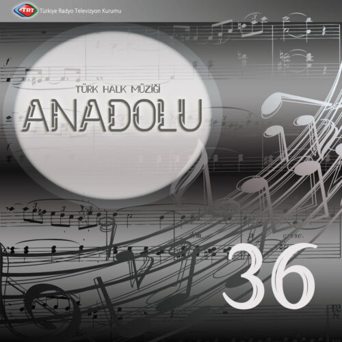 Çeşitli Sanatçılar Yeni Anadolu-36 Full Albüm İndir Çeşitli Sanatçılar Yeni Anadolu-36 Full Albüm İndir