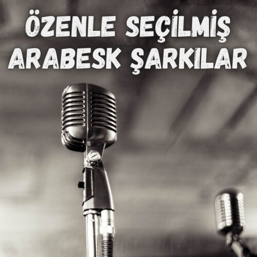 Çeşitli Sanatçılar Yeni Özenle Seçilmiş Arabesk Seçmeler Full Albüm İndir Çeşitli Sanatçılar Yeni Özenle Seçilmiş Arabesk Seçmeler Full Albüm İndir