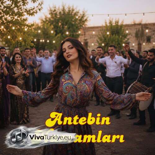 Bidemlik Anatolian Psychedelic Rock – Antebin Hamamları (2026) Mp3 İndir Bidemlik Anatolian Psychedelic Rock – Antebin Hamamları (2026) Mp3 İndir