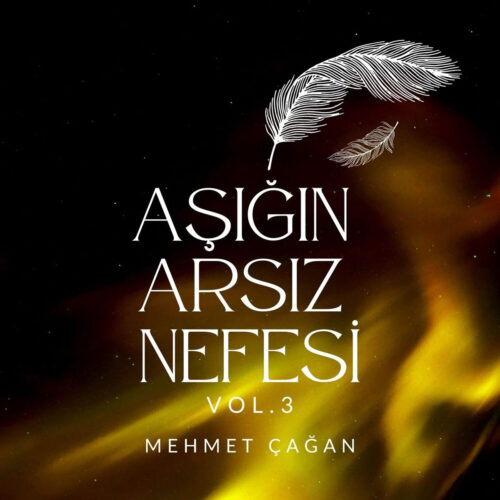 Mehmet Çağan - Aşığın Arsız Nefesi, Vol. 3 (2014) Full Albüm İndir Mehmet Çağan - Aşığın Arsız Nefesi, Vol. 3 (2014) Full Albüm İndir
