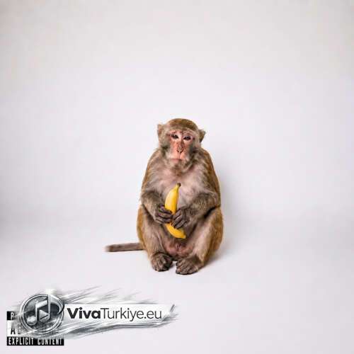 İmpala – MAYMUN (2026) Mp3 İndir