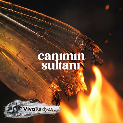 Kahraman Deniz Yeni Canımın Sultanı Şarkısını Mp3 İndir Kahraman Deniz Yeni Canımın Sultanı Şarkısını Mp3 İndir