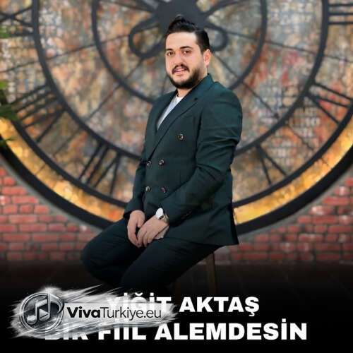Peçenekli Nazım – Bir Fiil Alemdesin (2026) Mp3 İndir 8 pecenekli nazim bir fiil alemdesin