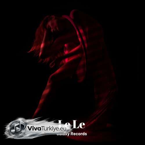 Müslüm Arı Yeni LE LE Şarkısını Mp3 İndir Müslüm Arı Yeni LE LE Şarkısını Mp3 İndir