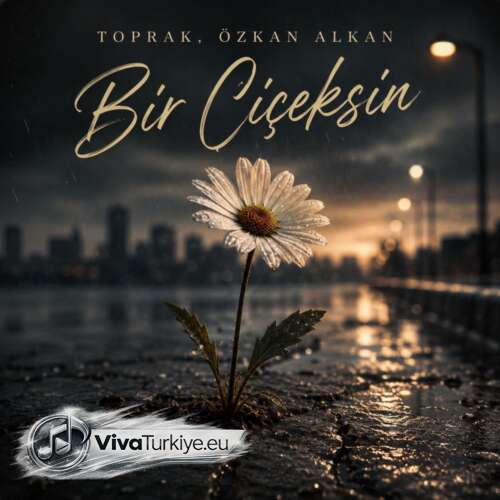 Özkan Alkan – Bir Çiçeksin (2026) Mp3 İndir 7 ozkan alkan bir ciceksin