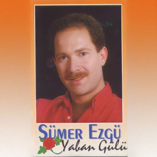 Sümer Ezgü Yeni Yaban Gülü Full Albüm İndir Sümer Ezgü Yeni Yaban Gülü Full Albüm İndir