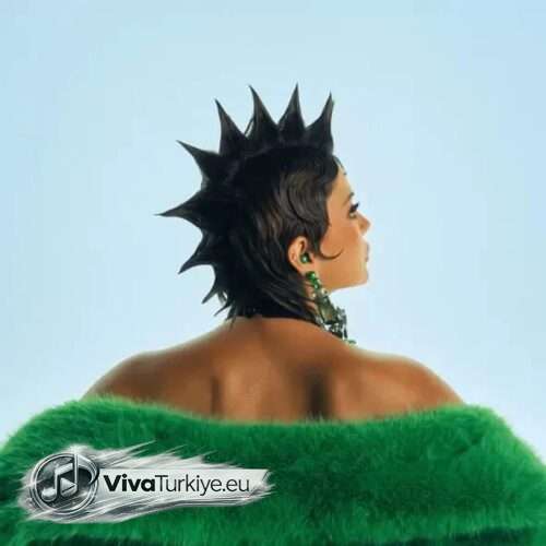 Hiss Yeni Alright Şarkısını Mp3 İndir photo 20261008 095739 aqadtq9r webp
